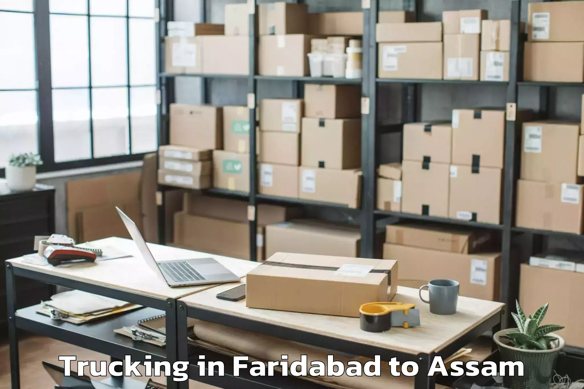 Book Faridabad to Sibsagar Trucking Online